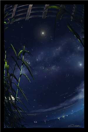 妻子为初恋生孩子后，我成了无国界医生周羽然白月光最新章节免费阅读