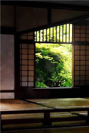 全文小说妻子逃婚后，我下定决心选了她苏颜叶陵