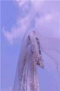 完结版小说穿进红楼，我贾环精通朝堂争斗by贾环王熙凤