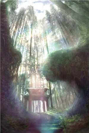 被哥哥的金丝雀冒充后，我上位成了新首富慕婷婷许青萍最新章节免费阅读