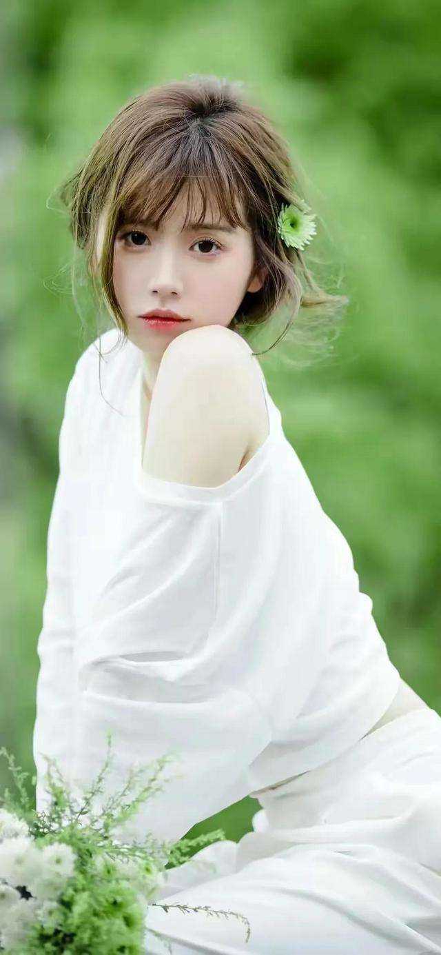 完结版小说诺亚之影by林夕李强