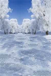 金风玉露朱颜金玉露