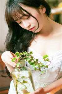 梨花无意伴寒春后续