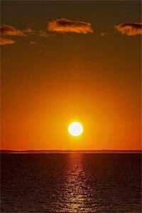 小说愿愿不复念路驰许愿全章节免费阅读