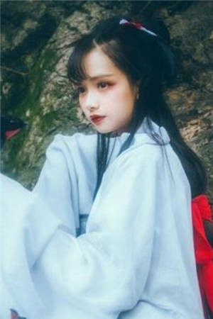 一品官途完结版小说全章节目录阅读