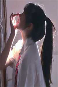 小说寒夜孤灯对月明(裴行之沈卿璇)