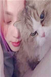 小说小可怜被抢人生，满朝文武排队宠(陆呦呦晏灵乌)