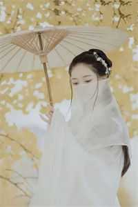 那夜心微凉沈从安魏童完结版小说