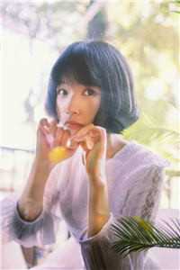 飞鸟越不过山海季淮之顾洛鸢完结版小说