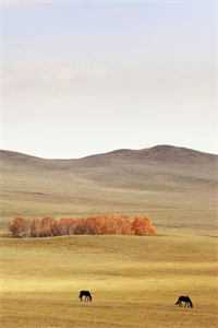 被遗忘的太子爷他慌了热门小说季行衍京圈