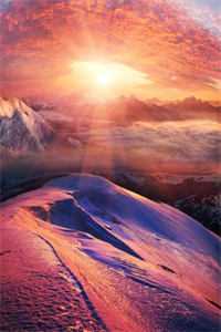 沈羁叶絮的小说叶落风起自有时免费阅读