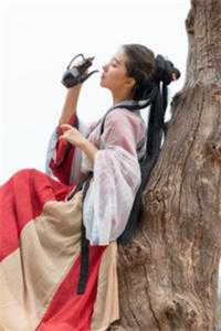 余贤张寿的小说天资轮转，吸血的我以光为食免费阅读