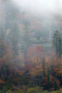 沈逸方北宇的小说情逝不爱旧时盟免费阅读