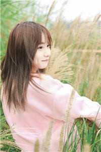 时光不老，你我已散林泽伟乔婉月完结版小说