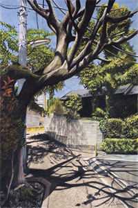 秦遇叶白的小说重生后，我真的只想做好事小说阅读