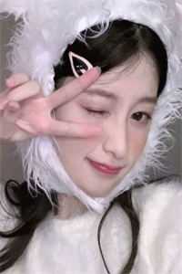 宋青月柯达的小说雪山从不说谎小说阅读