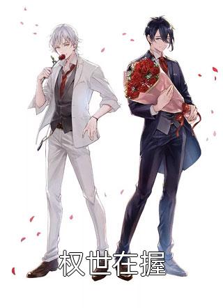 官路之巅叶南林若菲全文小说