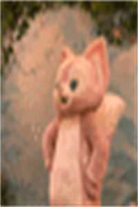 虞念知厉时臣凭仗东风吹梦去小说