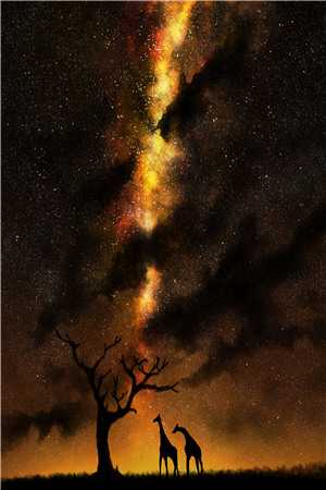 林锦承安洛瑶爱在余晖散尽前小说