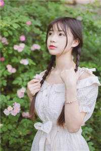 雨轻风色暴，从此芳菲歇傅云起洛嘉小说完结版