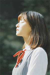 情归于尽，爱已成悲洛瑶贺峻霖小说完结版