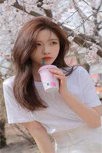 权倾美人香全文+番茄