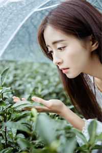 山高水远，再不相见小说霍江远沈千柔完结版