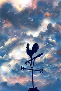 和情敌网恋翻车后,被他亲懵了叶晚晚林渡