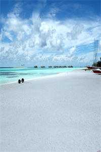 妻女以为我被开除，将我扫地出门妍妍杨丽娜