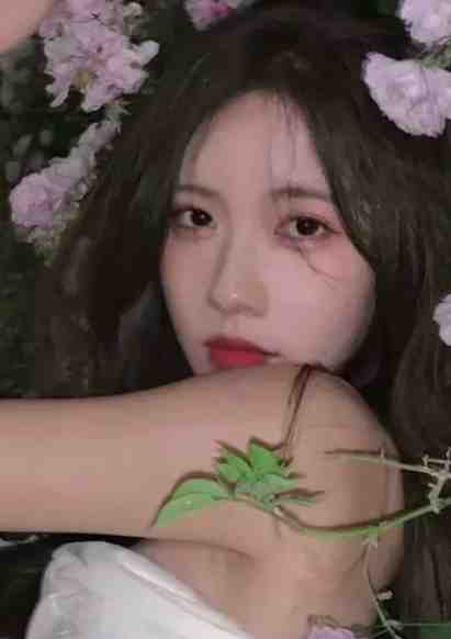 爱止于青梅青梅陆屿