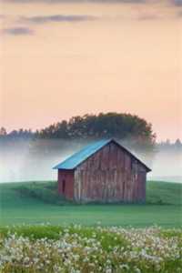 外甥女省考笔试第一后吴初夏王田雪