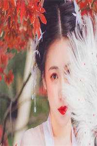 人间无数草为萤小说林憬孟序淮完结版