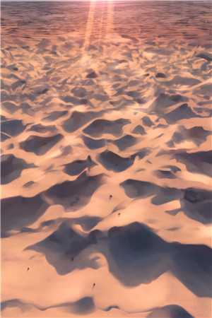 暮暮情深皆默然沈聿风纪青语小说完结版