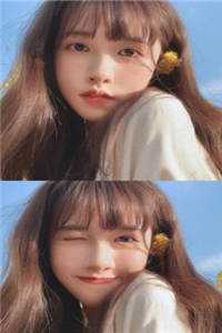 满川风月替人愁风月桃花最新章节免费阅读