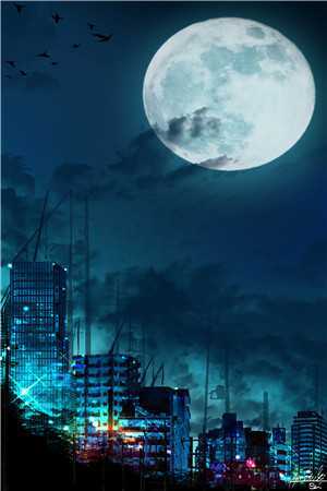 葬礼上的谎言陆清雨顾宴最新章节免费阅读