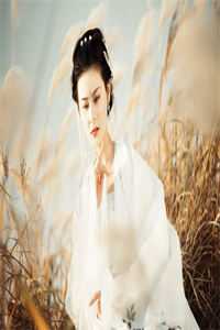 从此风月不相关傅瑜年言言最新章节免费阅读