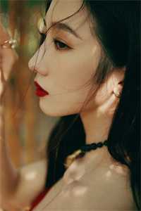 旧时梦影终成空丁向文严晓慧最新章节免费阅读