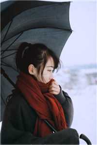 从此鲜花赠自己，纵马踏花向自由青梅莫成轩全文小说