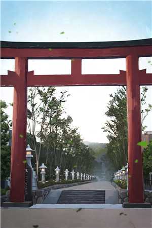 心的第七次颤动小说姜颜陆晨