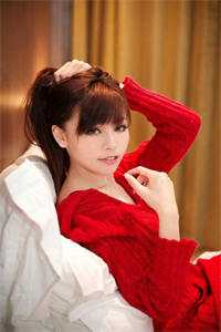 冲锋陷阵完结版小说叶辰舒婉清