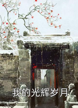 恰似明月逢尔海完结版高悦林北海