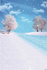 潇潇雨声迟完结版沈聿风纪青语