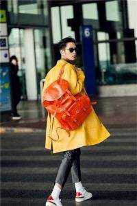 爱如雪落终无痕小说芙蓉敖祯完结版