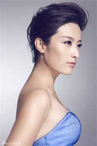 回首时灯火阑珊小说宋薇薇秦衍之完结版