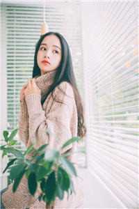 财富自由，从离婚后开始赵峰林晓萱小说完结版