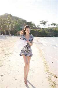 岁月长青陆戈夏青小说完结版