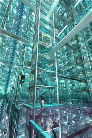 月光漫过旧情书小说傅予珩叶念薇完结版