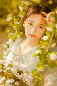 不爱后我远赴星辰小说魏凯白婉完结版