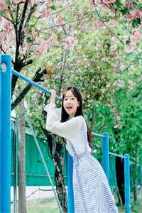 塑料姐妹花，离婚丧偶不分家小说徐熙陈瑶完结版