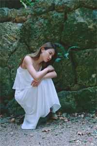 相思了无益(沈箫白岑苏)